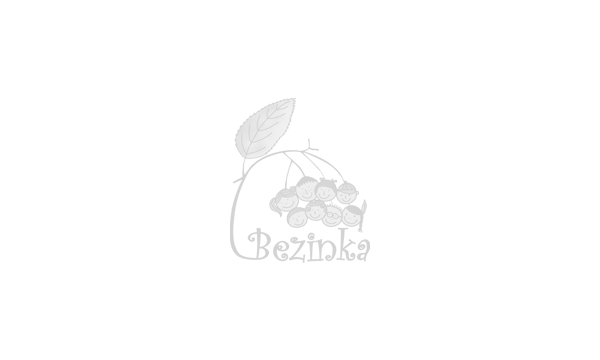Logo lesní školy Bezinky